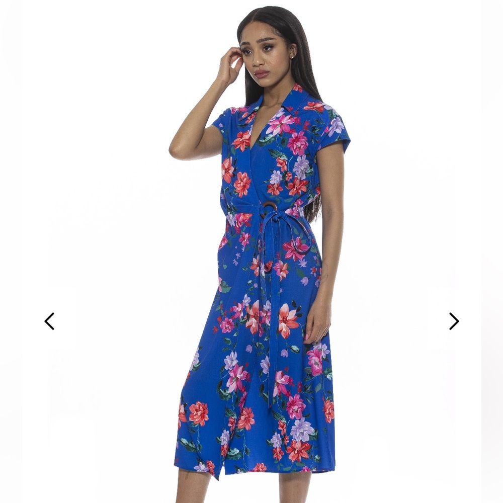 Alexia Admor Paris collared belted dress NWT‎